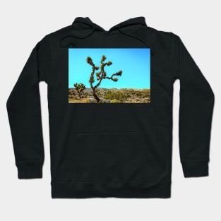 Joshua Tree National Park Hoodie